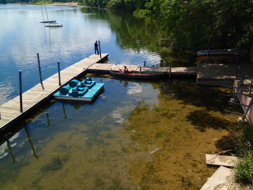 Sizing up the situation at the lake – the Floating Library