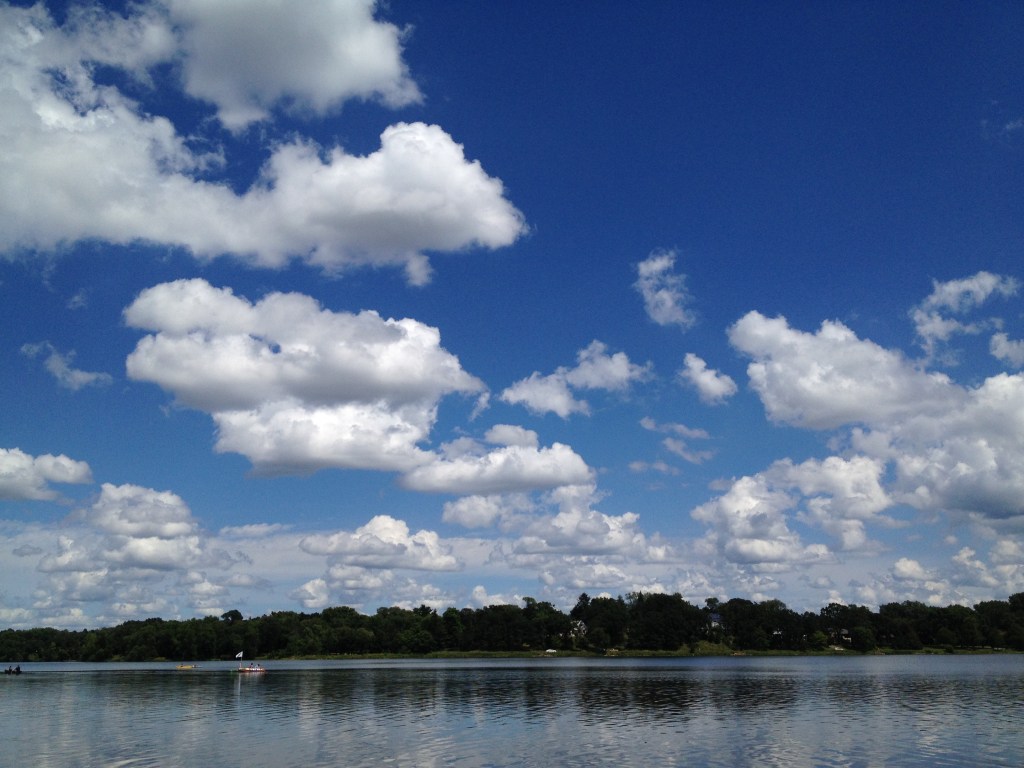 the Floating Library – A lake-based library of artist-made printed matter.